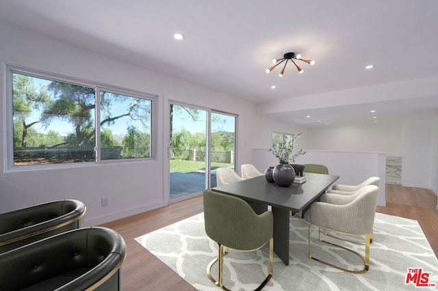 dining space with light hardwood / wood-style flooring