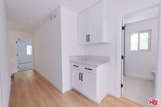 hall featuring plenty of natural light and light wood-type flooring