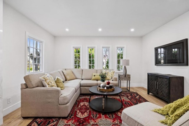 living room featuring light hardwood / wood-style flooring