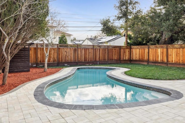 view of pool with a patio area