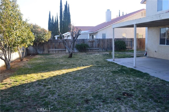 view of yard featuring a patio area