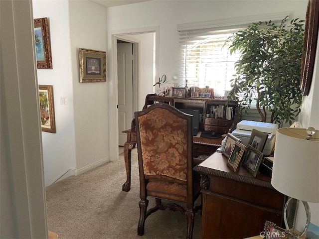 view of carpeted office space