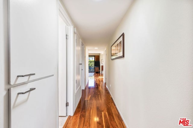 corridor featuring dark hardwood / wood-style flooring