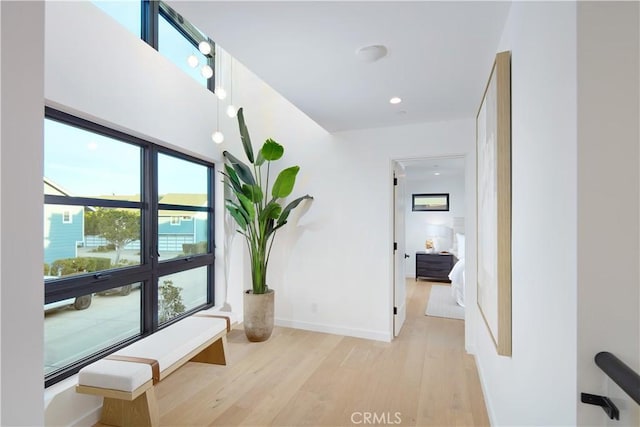 hall featuring light hardwood / wood-style floors