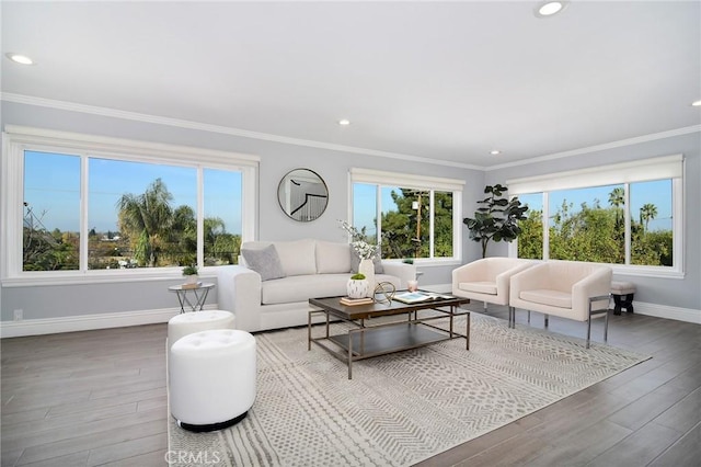 living room featuring wood-type flooring and crown molding