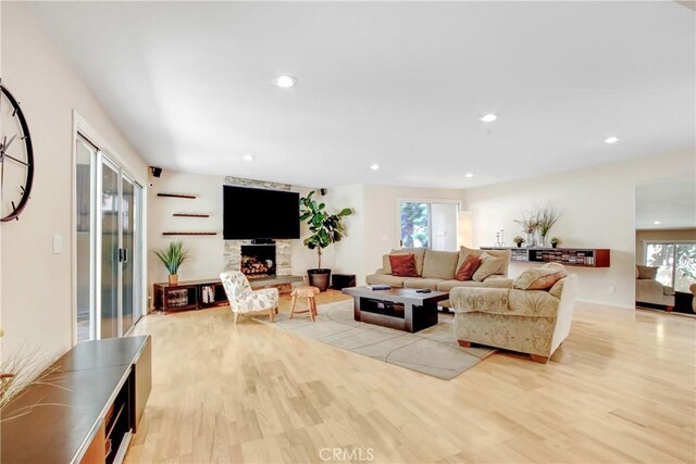 living room with a stone fireplace and light hardwood / wood-style flooring