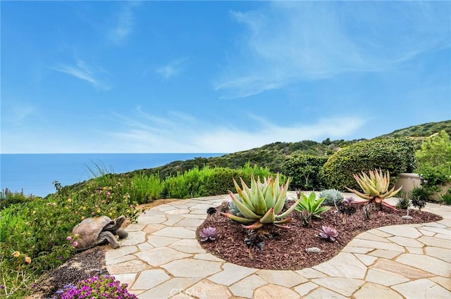 view of patio / terrace with a water view