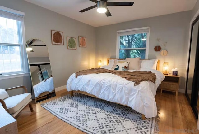 bedroom with multiple windows, hardwood / wood-style floors, and ceiling fan