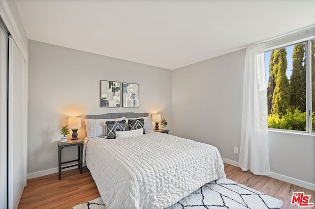 bedroom with multiple windows, hardwood / wood-style flooring, and a closet