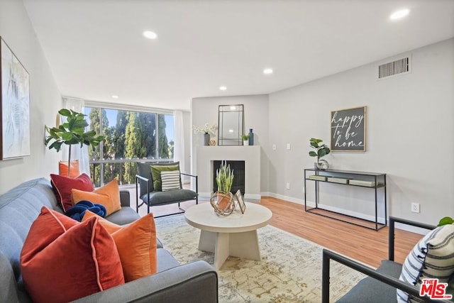 living room featuring wood-type flooring