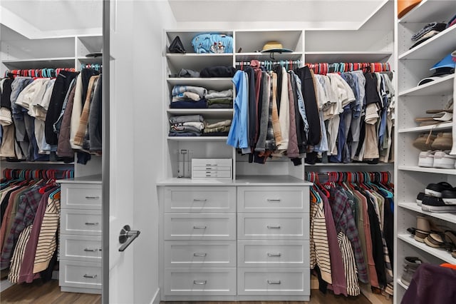 spacious closet featuring wood-type flooring