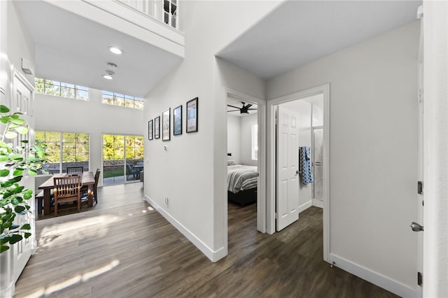 corridor featuring dark hardwood / wood-style floors and a high ceiling