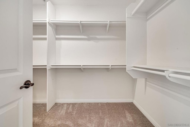 spacious closet with light colored carpet