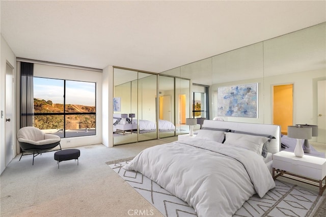 carpeted bedroom with access to outside