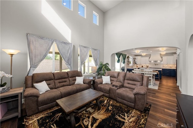 living room featuring a healthy amount of sunlight and dark hardwood / wood-style flooring