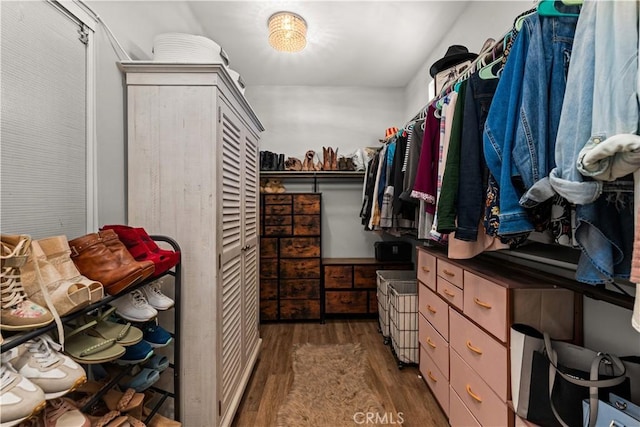 spacious closet with dark hardwood / wood-style flooring