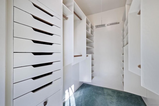 spacious closet with carpet floors