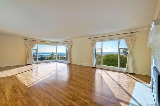 empty room with crown molding and light wood-type flooring