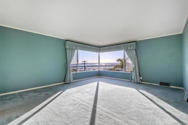 spare room featuring ornamental molding and carpet