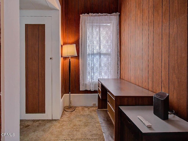 bathroom featuring wooden walls