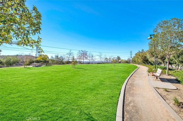 view of property's community with a yard