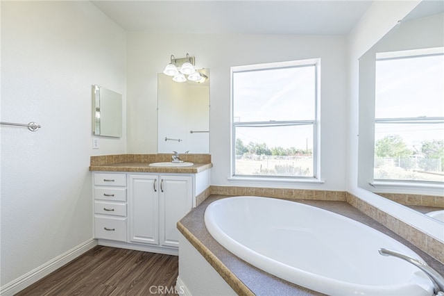 bathroom featuring vanity, hardwood / wood-style floors, a wealth of natural light, and a tub