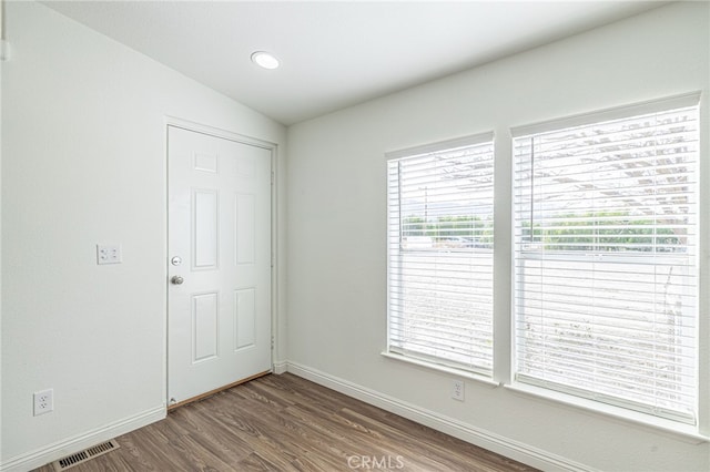 spare room featuring lofted ceiling, plenty of natural light, and wood-type flooring