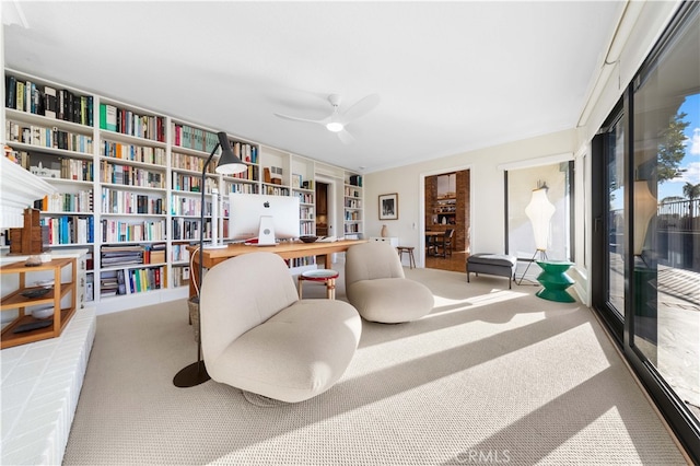 living area featuring ceiling fan and carpet