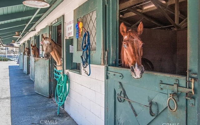 view of horse barn