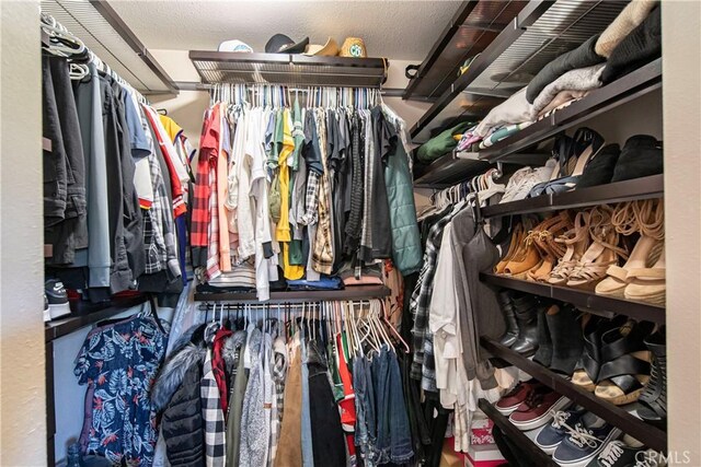 view of spacious closet