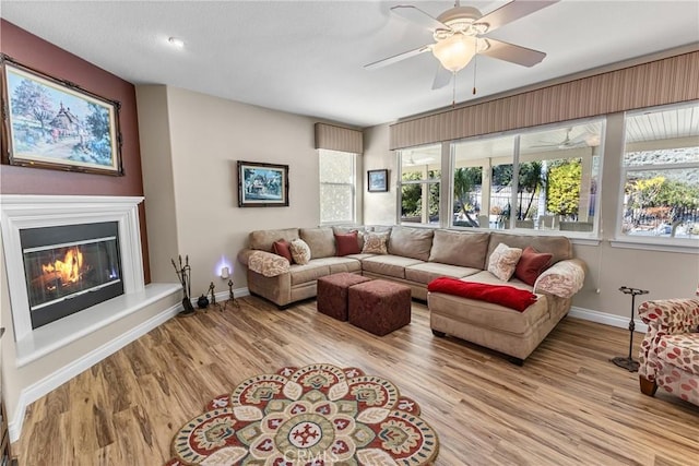 living room with ceiling fan and light wood-type flooring