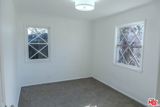 carpeted spare room featuring ornamental molding