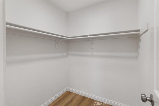 spacious closet with hardwood / wood-style flooring