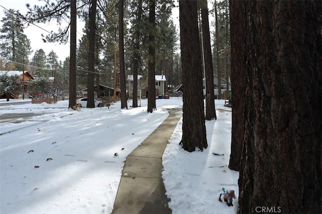 view of yard covered in snow