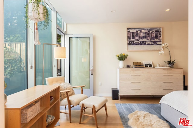 sitting room featuring light wood-type flooring