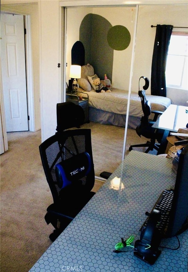 bedroom featuring carpet floors and a closet