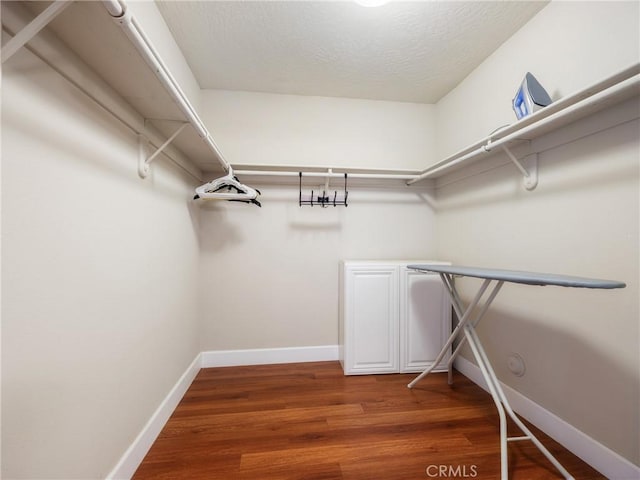 walk in closet featuring wood-type flooring