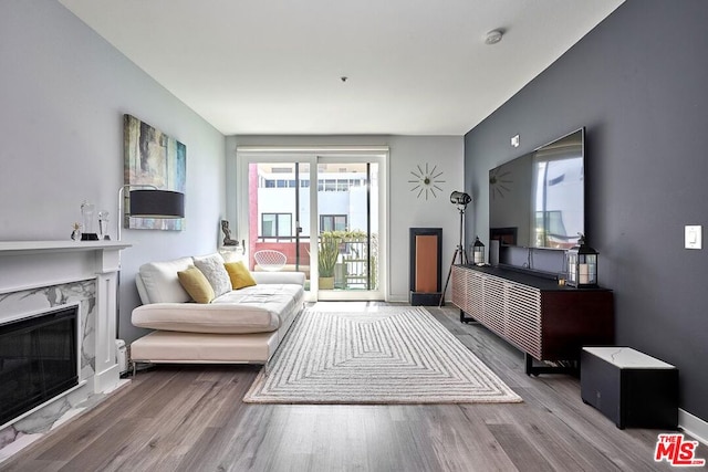 living room with a premium fireplace and wood-type flooring