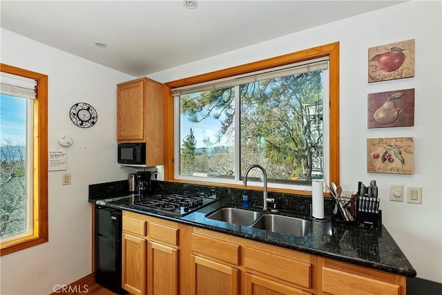 kitchen featuring hardwood / wood-style floors, sink, dark stone countertops, and black appliances