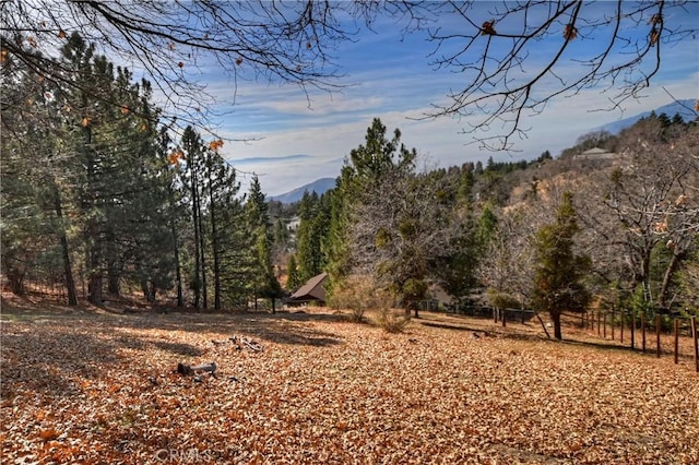 view of local wilderness featuring a mountain view