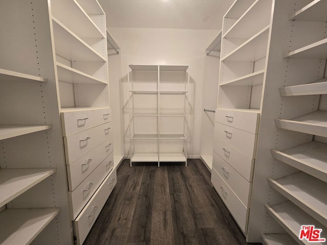 spacious closet with dark wood-type flooring