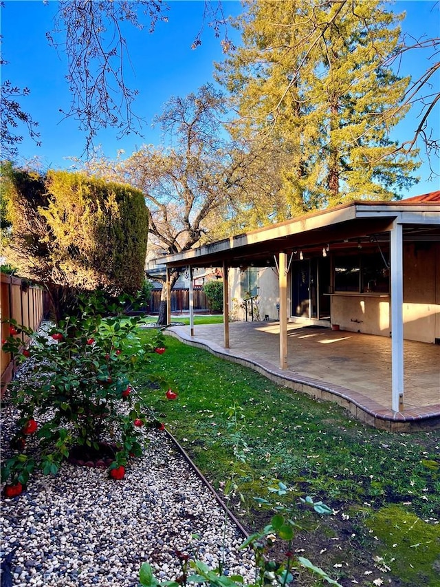 view of yard featuring a patio area