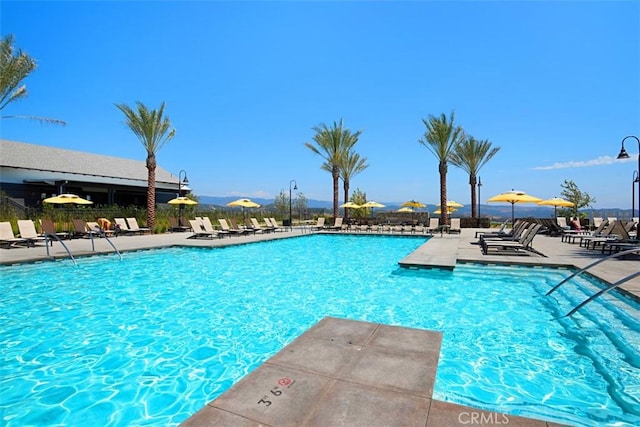 view of swimming pool with a patio area