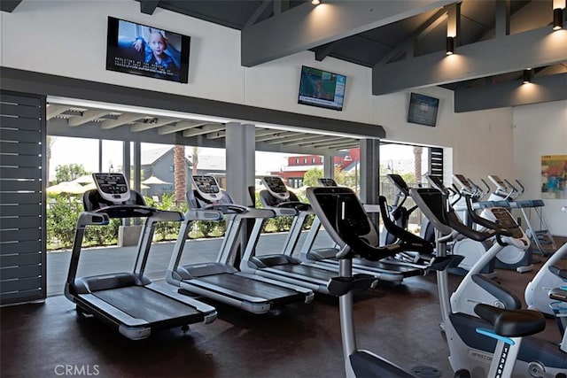 exercise room featuring high vaulted ceiling