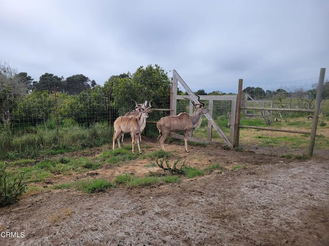 340 Main St, Point Arena, CA 95468 - photo 30