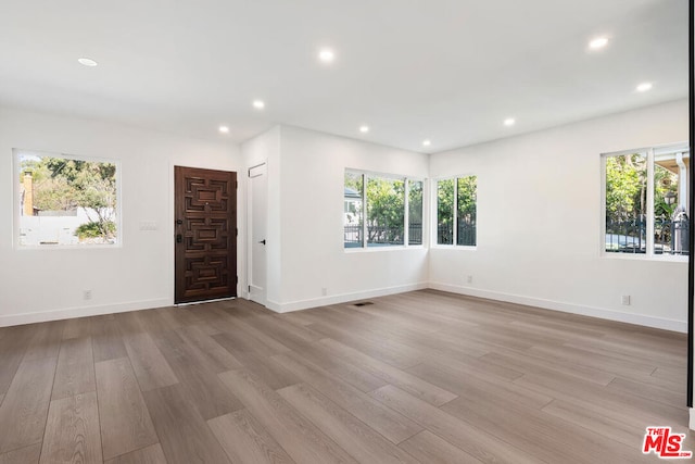 unfurnished room featuring a wealth of natural light and light hardwood / wood-style floors