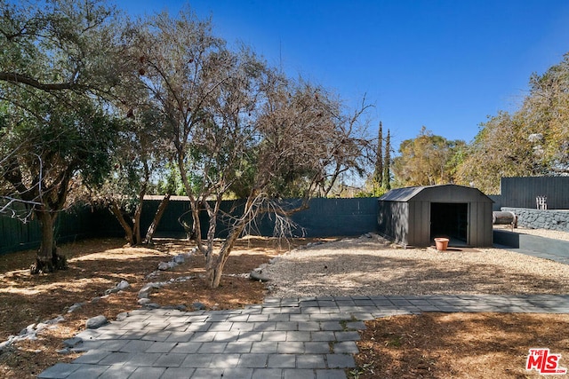 view of yard featuring a storage unit