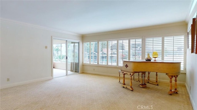 miscellaneous room featuring crown molding and light colored carpet