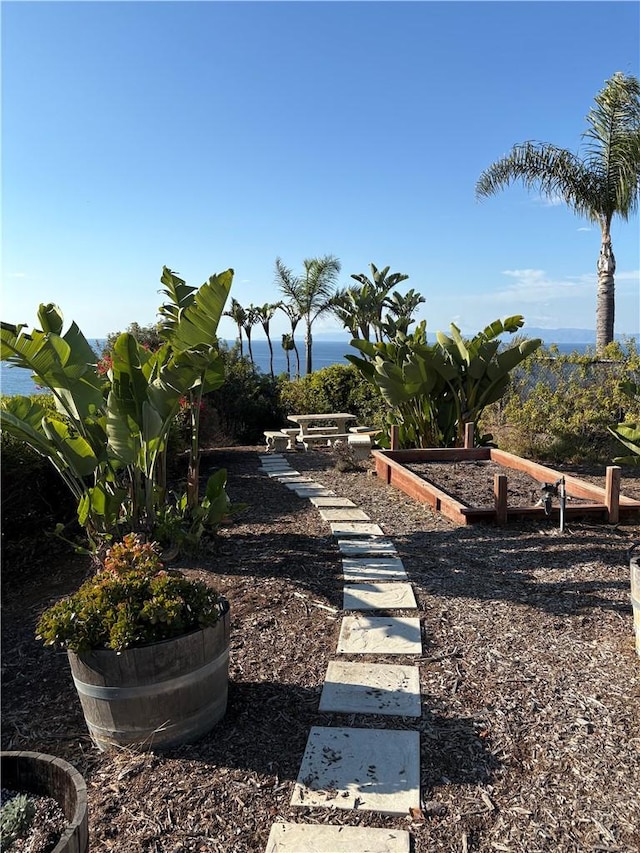 view of yard with a water view