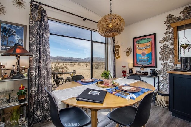 dining space with a mountain view and dark wood-type flooring